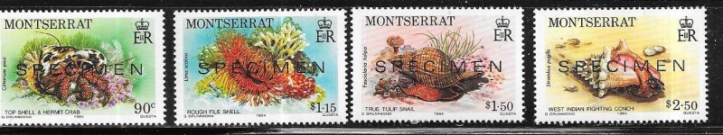 Montserrat #543-546 Marine Life  (MHH) Specimem's CV $10.60