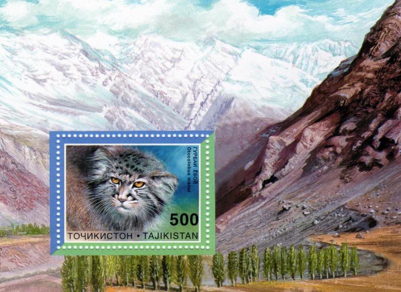 Tajikistan 1996 WWF w/logo WILD CAT s/s Perforated Mint (NH)