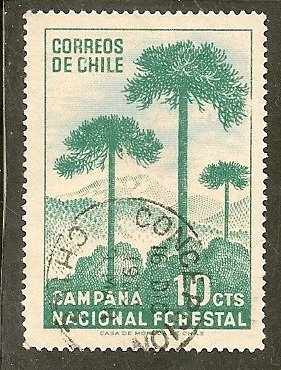 Chile  Scott  363   Tree    Used