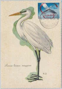 52630 - SOMALIA - MAXIMUM CARD - ANIMALS BIRDS HERON 1959-