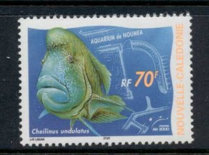 New Caledonia 2000 Noumea Aquarium 70f Wrasse MUH