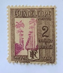 Guadeloupe 1928 Scott J25 MH - 2c,  Dumanoir Alley