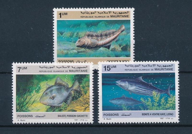 [49700] Mauritania 1987 Marine life Fish MNH