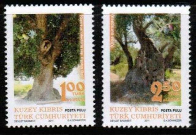 2011 TURKISH CYPRUS - CENTURY OLD TREES - UMM STAMP 
