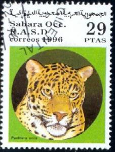 Wildcat, Jaguar, Sahara stamp Used