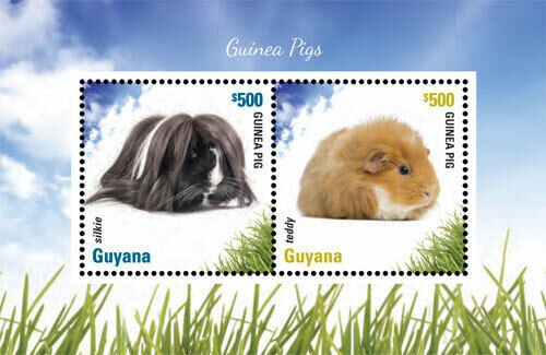 Guyana - 2014 - Guinea Pig - Souvenir Stamp Sheet - MNH