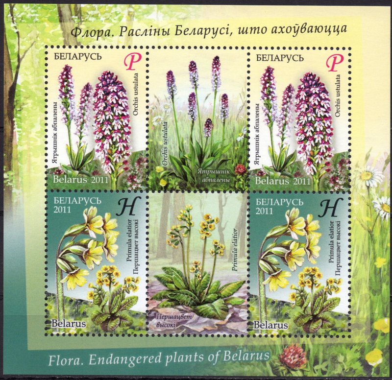 Belarus. 2011. bl82. flowers, flora. MNH.