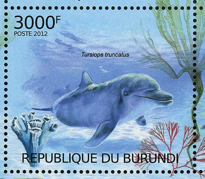 Dolphins Stamp Stenella Frontalis Tursiops Truncatus S/S MNH #2610-2613