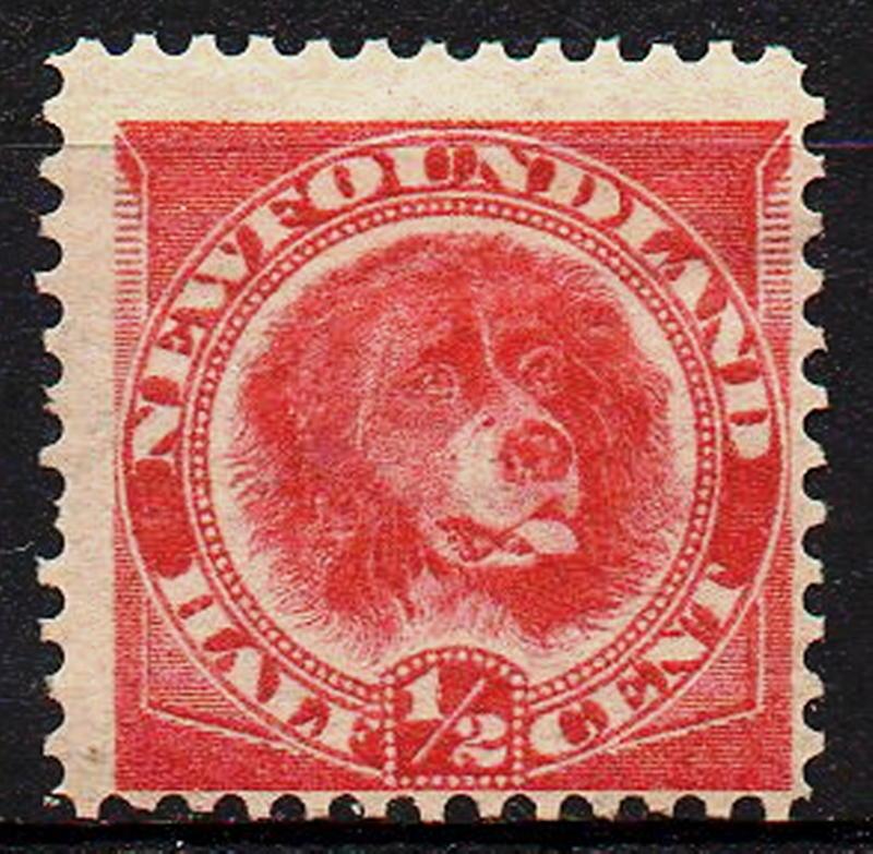 Newfoundland #56  MH CV $9.50
