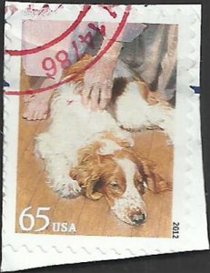 # 4605 USED THERAPY DOG