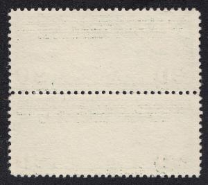 US Scott C9 pair  Mint NH OG