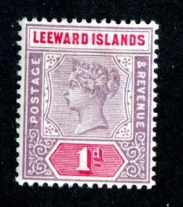 1890  Leeward Sc.#2 M* ( 997 BCX2 )