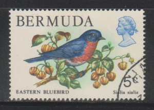 Bermuda,  5c Eastern bluebird (SC# 365) Used