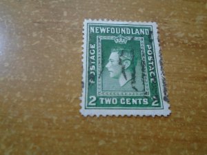 Newfoundland  # 245  used