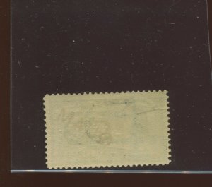 Guam Scott E1a Special Delivery Mint Stamp  (Stock Guam E1-2)