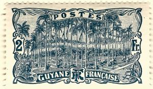 French Guiana (Sc #82) F-VF Mint OG hr..French Colonies are Hot!