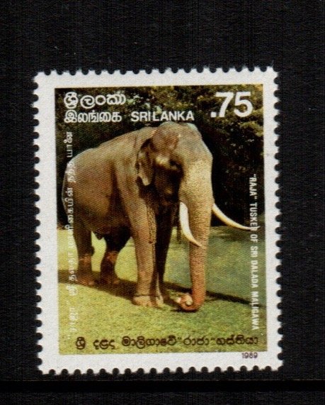 Sri Lanka  944  MNH cat $  7.50