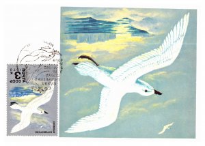 Russia, Polar, Birds, Worldwide First Day Cover