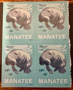 US # 5851 Manatees block of 4 from booklet forever 2024 Mint NH