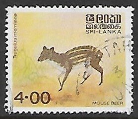 Sri Lanka # 596 - White-spotted Mouse Deer - used.....{BRN4}