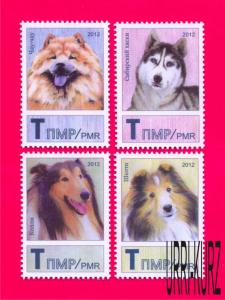 TRANSNISTRIA 2012 Nature Fauna Domestic Animals Pets Dogs 4v MNH