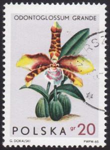 Poland 1965 SG1590 Used