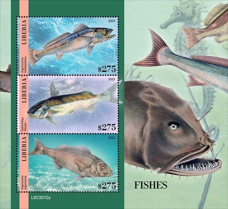Liberia - 2023 Fishes, Carpenter Seabream - 3 Stamp Sheet - LIB230113a