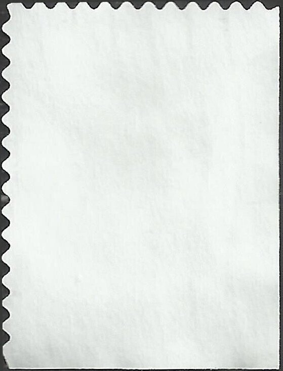 # 3126 USED MERIAN BOTANICAL PRINTS