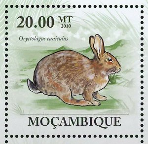 Rabbits Stamp Oryctolagus Cuniculus Lepus Capensis S/S MNH #3548-3553