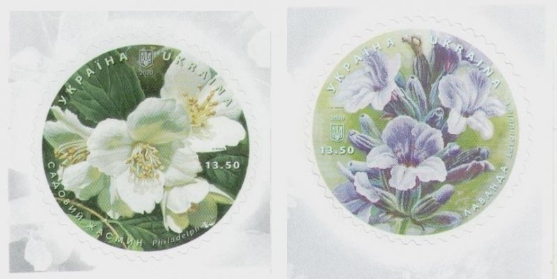 2020 Ukraine stamps series of shrubs Lavender and jasmine.  Flowers Flora, MNH