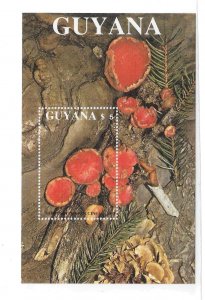 Guyana 1989 Mushrooms Fungi S/S Sc 2011 MNH C13