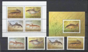 Kyrgyzstan 48-52/51a MNH Fishes SCV5.25