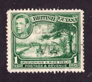 British Guiana     230      Used