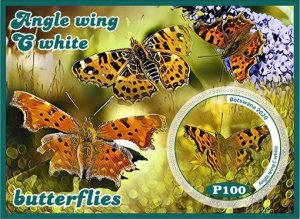 Republic of Botswana stamps 2020. - Set of insect butterflies from 8 blocks MNH