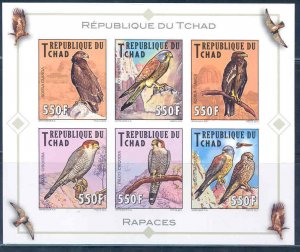 CHAD 2013 BIRDS OF PREY OWLS ETC  SET OF SIX   MINT NH IMPERF