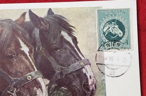 WW2 WWII German Third Reich postcard Grand Prix horse race Vienna Wien 1944