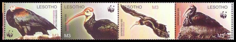 Lesotho WWF Southern Bald Ibis Birds Strip of 4v head left SG#1934-1937 SC#1336