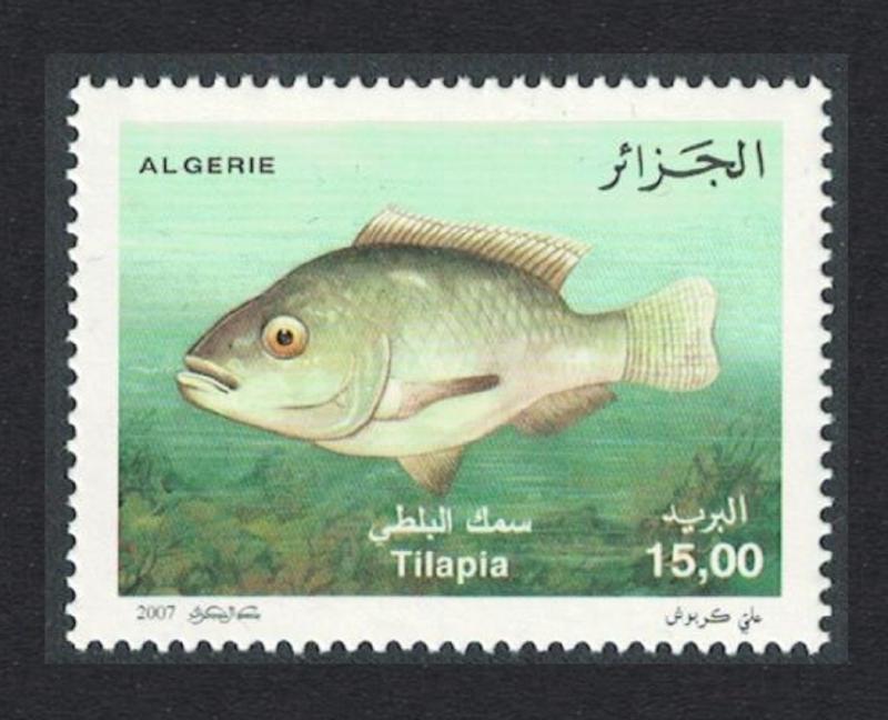Algeria Nile Tilapia Fish 1v SG#1569