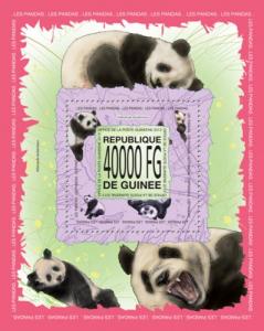 GUINEA 2013 SHEET PANDA BEARS WILDLIFE