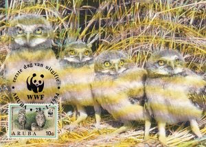 Aruba 1994 Maxicard Sc #102 5c Burrowing Owls 2 adults, young WWF