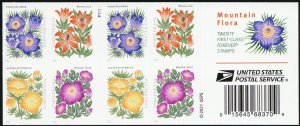 5675a CFI, Counterfeit Booklet Pane of 20 Mountain Flora Stamps - Stuart Katz