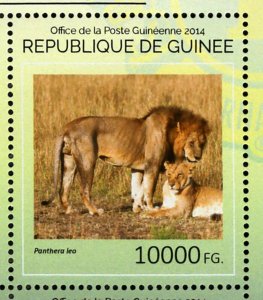 Lions Stamp Panthera Leo Wild Animal Souvenir Sheet MNH #10702-10705 