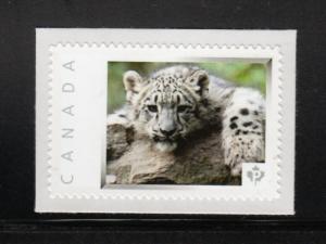 BABY WHITE TIGER = wild cat = Picture Postage stamp MNH Canada 2013 [p4w6/6]