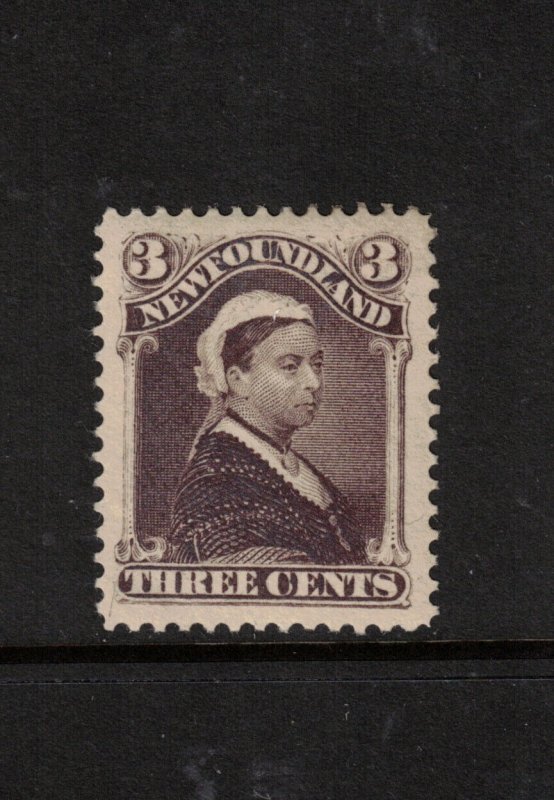 Newfoundland #52 Extra Fine Never Hinged **With Certificate** 