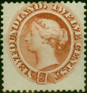 Newfoundland 1870 12c Chestnut SG33 Fine MM