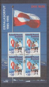 GREENLAND, 1995 10th. Anniversary of National  Flag Souvenir Sheet, used.