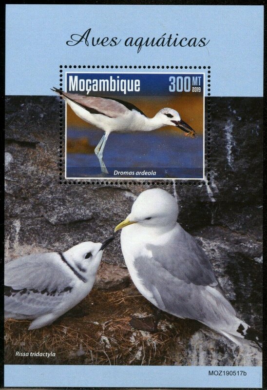 MOZAMBIQUE 2019  AQUATIC BIRDS SOUVENIR SHEET MINT NEVER HINGED