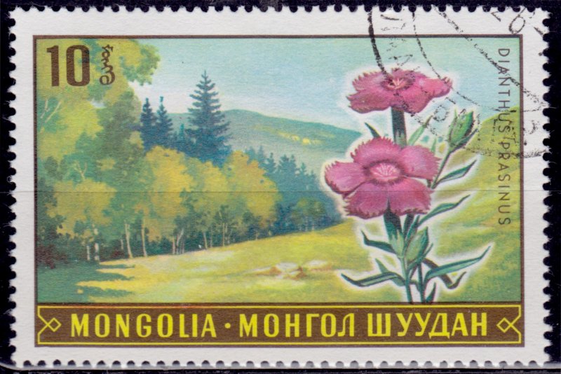 Mongolia, 1969, Flora - Dianthus prasinus, 10m, sw#551, used