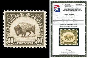 Scott 569 1923 30c Buffalo Flat Plate Mint Graded XF-Sup 95 NH with PSE CERT