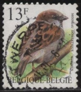Belgium 1446 (used) 13fr birds: moineau domestique (1994)